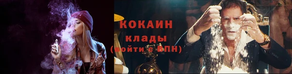 молекула духа Алзамай