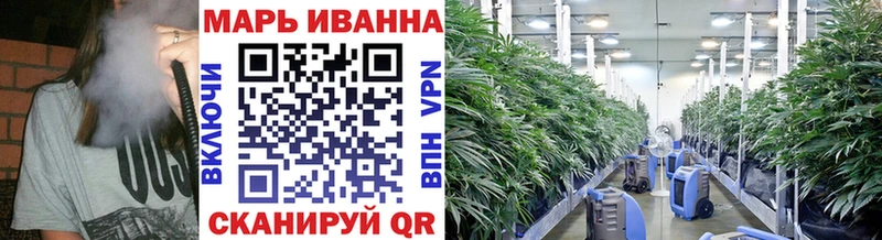 как найти закладки  Рудня  Каннабис MAZAR 